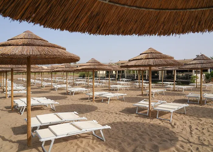 Sikania Eco 利卡塔