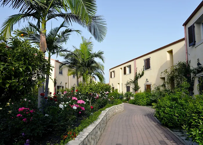 Sikania Eco 利卡塔